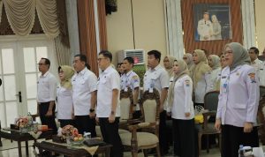 file (17)