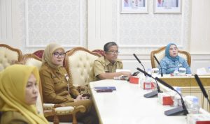 file (22)