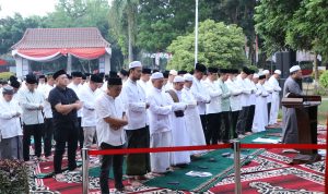 file (24)