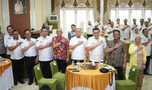 file (30)
