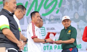 file (31)