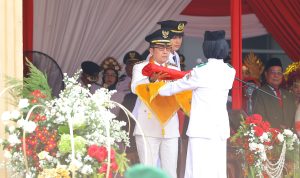file (39)