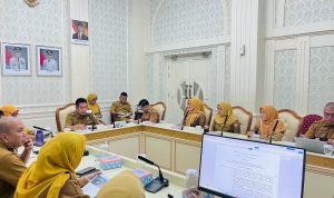 file (4)