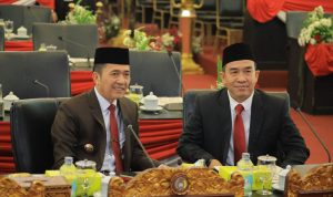 file (42)