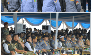 file (6)